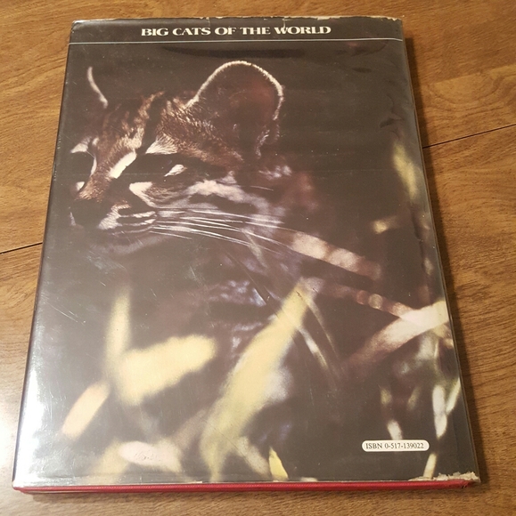 1975 FIRST PRINTING THE WORLD OF NATURE BIG CATS O - Picture 3 of 12